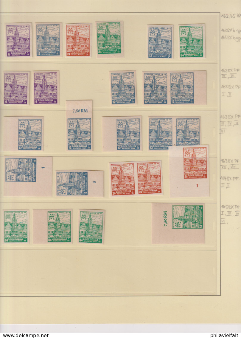 SBZ Spezialsammlung Aus MiNo. 162/65 ** Auf 6 Albenblättern Mit Plattenfehlern/Farben/WZ Usw Teils Geprüft BPP - Nuovi