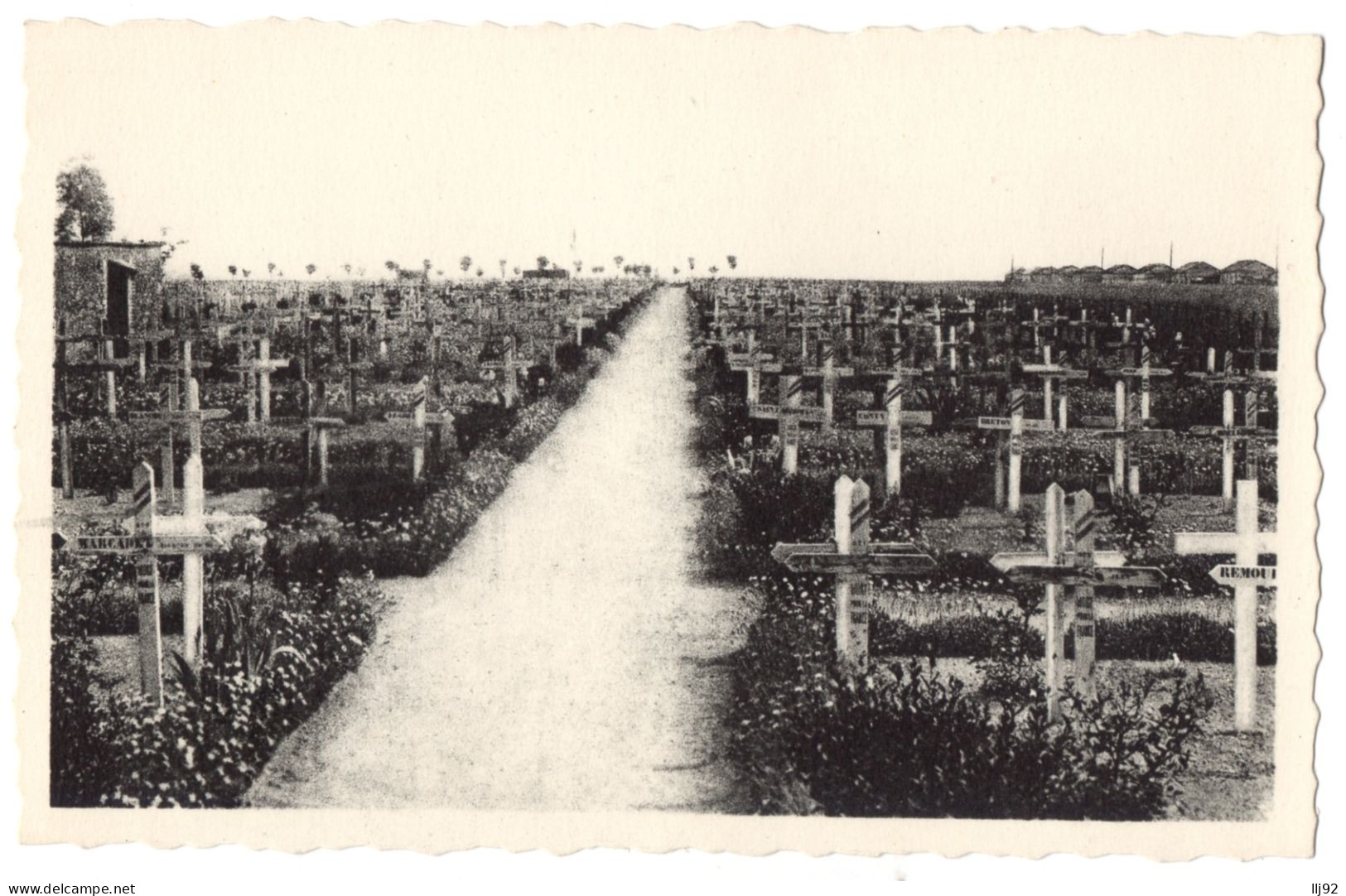 CPSM PF 51 - SUIPPES (Marne) - 5. Le Cimetière. Allée Centrale - Sonstige & Ohne Zuordnung