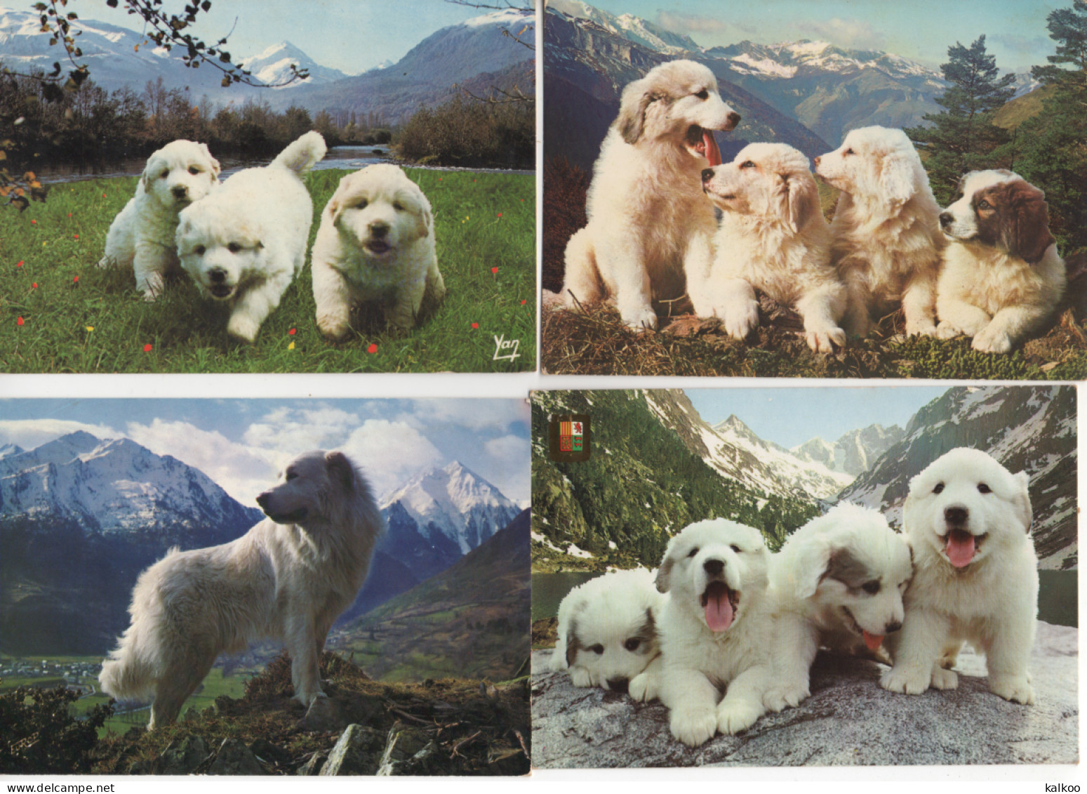 LOT De 8 Cartes Postales Sur Les Chiens - Hunde