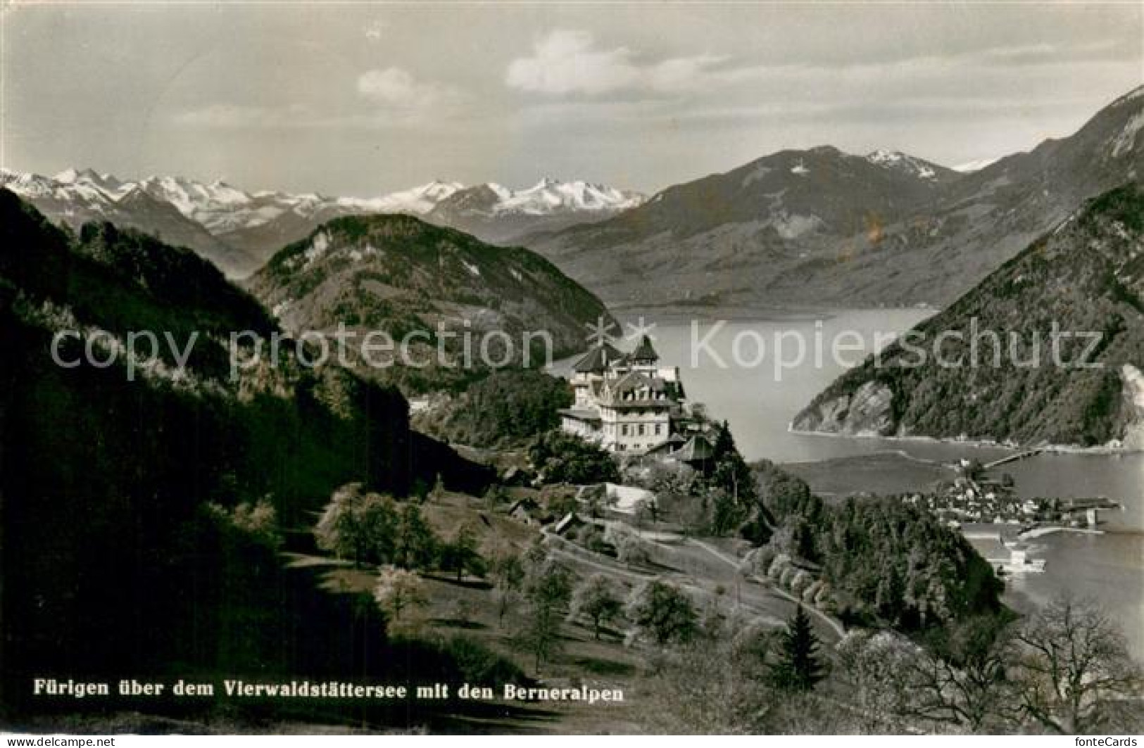 13707018 Fuerigen Panorama Vierwaldstaettersee Berner Alpen Fuerigen - Autres & Non Classés