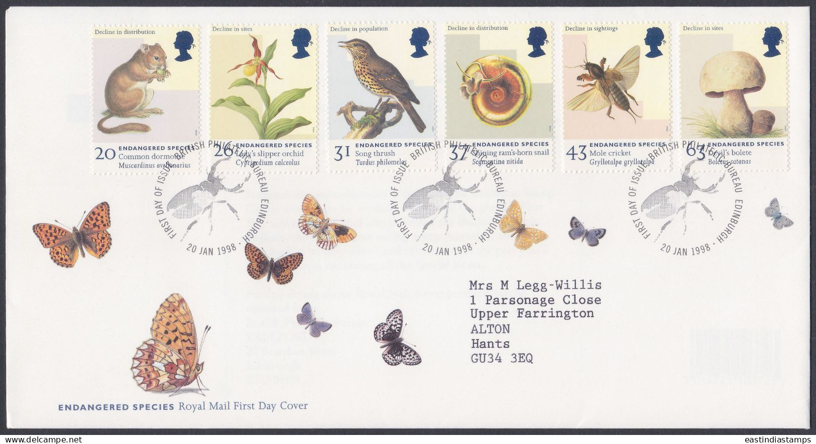 GB Great Britain 1998 FDC Endangered Species, Butterfly, Insects, Birds, Mushroom, Pictorial Postmark, First Day Cover - Lettres & Documents