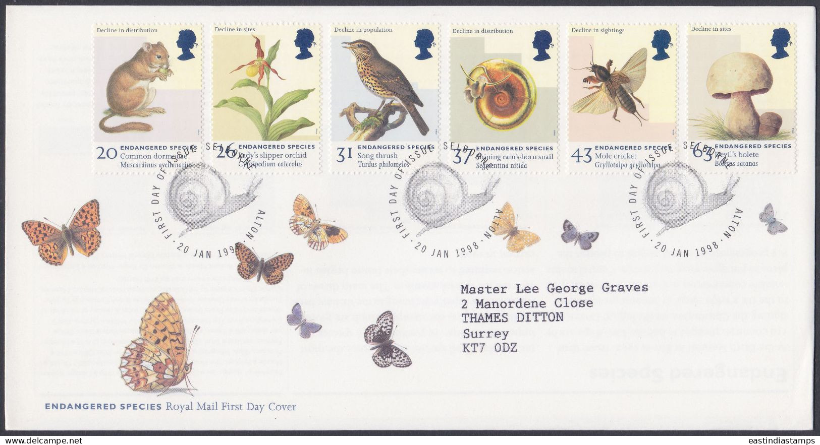 GB Great Britain 1998 FDC Endangered Species, Butterfly, Insects, Birds, Mushroom, Pictorial Postmark, First Day Cover - Brieven En Documenten