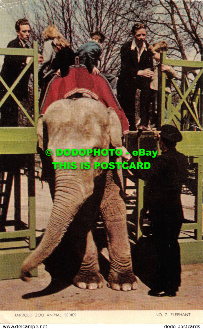 R516043 Elephant. Jarrold. Cotman Color. Zoo Animal Series. No. 7 - Mondo