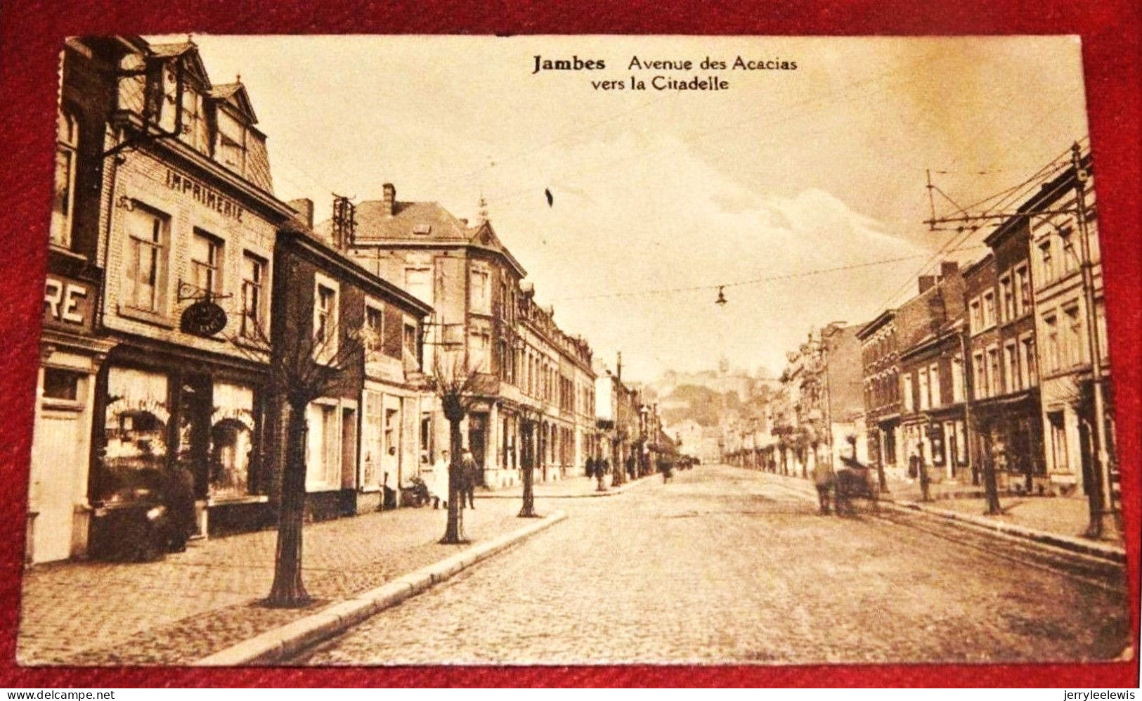 JAMBES  -  Avenue Des Acacias Vers La Citadelle  - - Namur