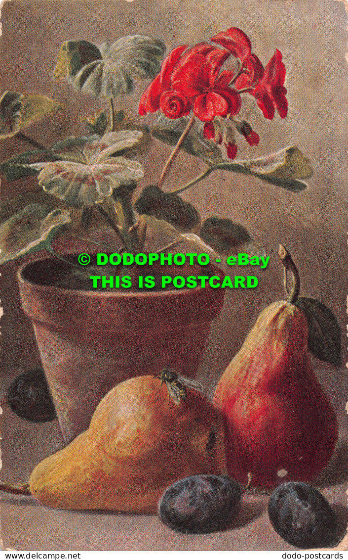 R516375 Flowerpot. Pears And Plums. Wrench Series No. 076. 1906 - Welt