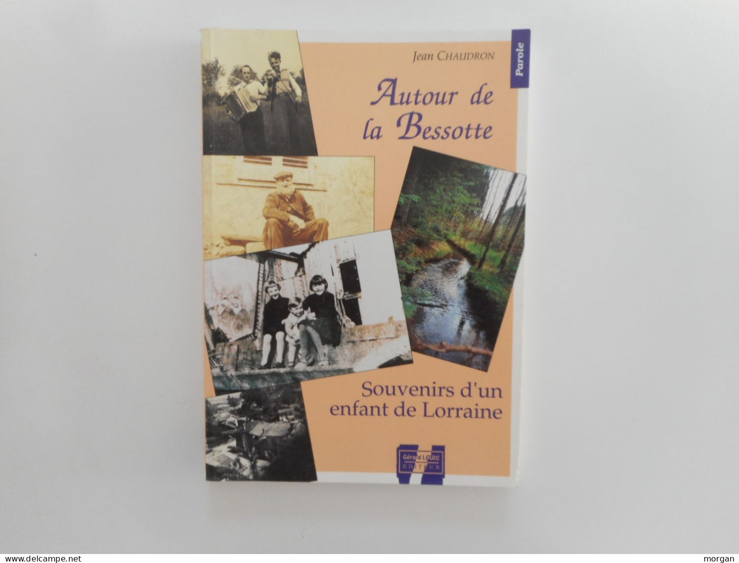 LORRAINE, MEURTHE ET MOSELLE - BADMENIL, AUTOUR DE LA BESSOTTE, 1994, JEAN CHAUDRON, SOUVENIRS D'UN ENFANT DE LORRAINE - Lorraine - Vosges