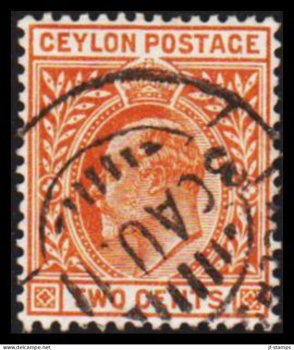 1903-1905. CEYLON. Edward VII. TWO CENTS.  (MICHEL 131) - JF545336 - Ceilán (...-1947)