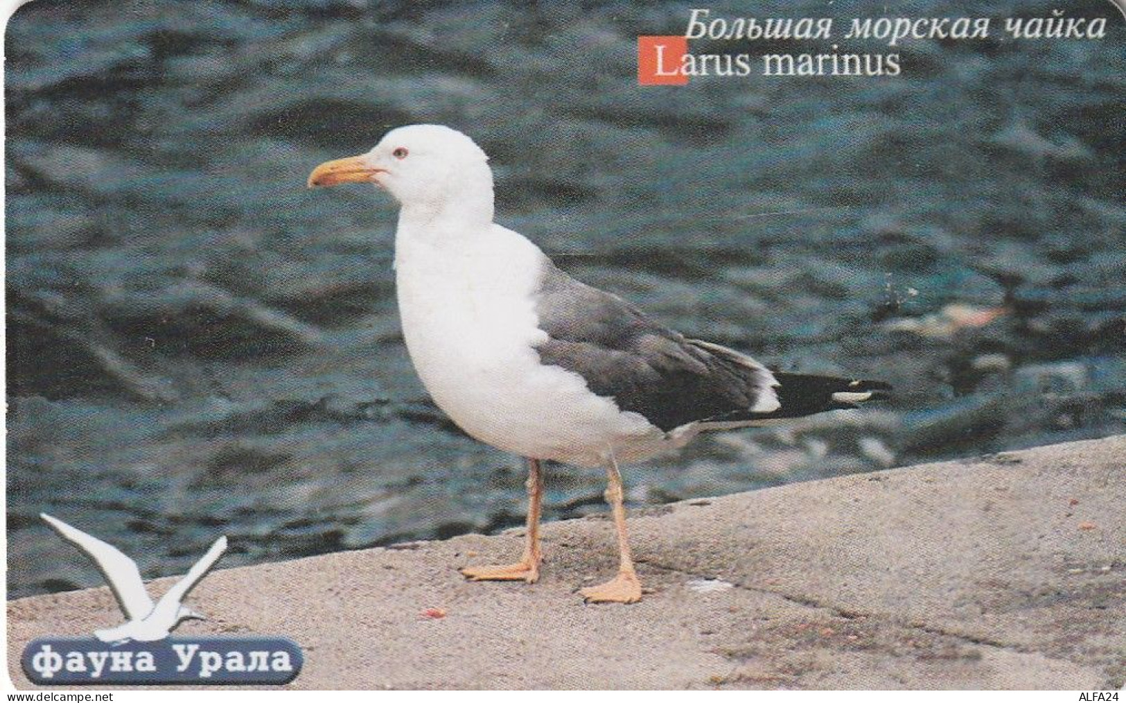 PHONE CARD RUSSIA Uralsvyazinform - Ekaterinburg (E100.3.7 - Russia