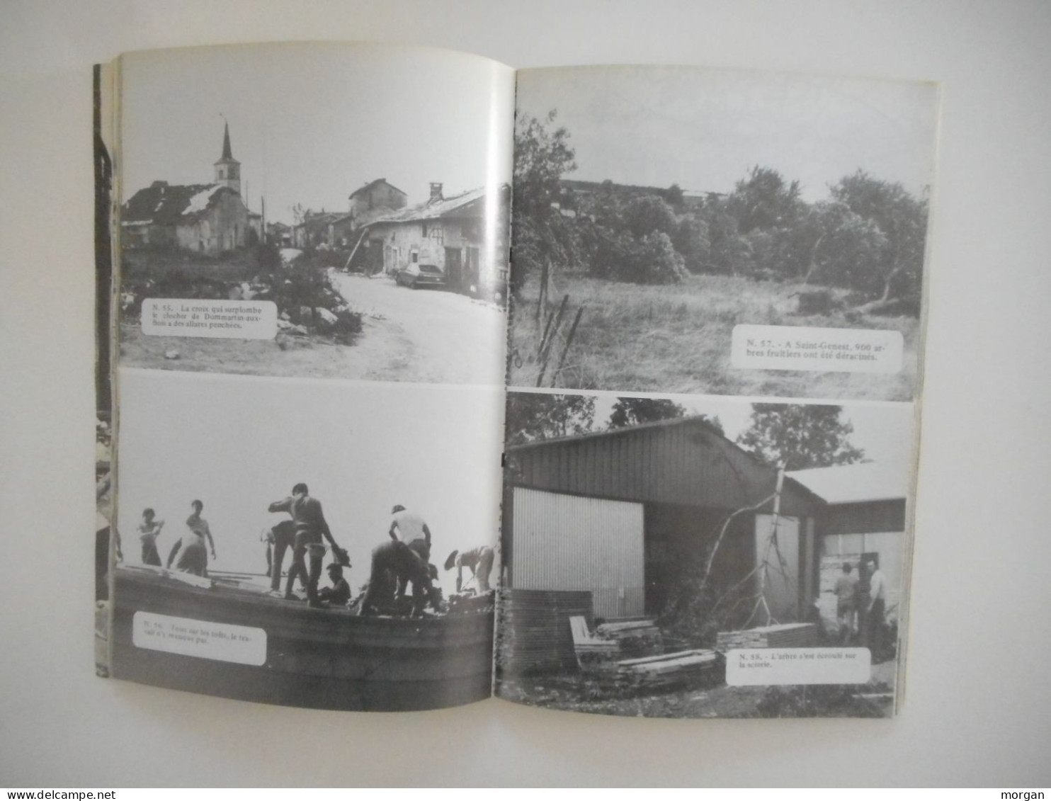 LORRAINE, VOSGES - TORNADE VOSGES 11 JUILLET 1984, ALBUM PHOTOGRAPHIQUE - Lorraine - Vosges