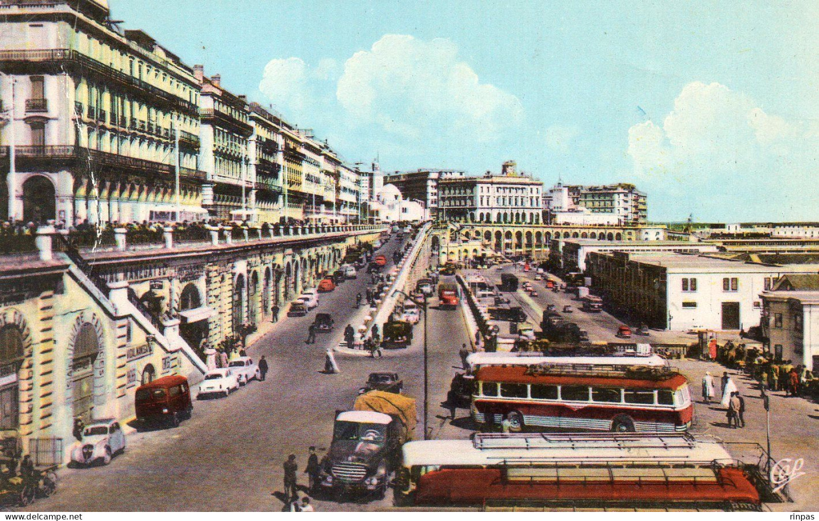 (Algerie) ALGER Les Rampes Boulevard De La République  Vers Les Mosquées Autobus Autocar Camion Bus Car  1960 - Algerien