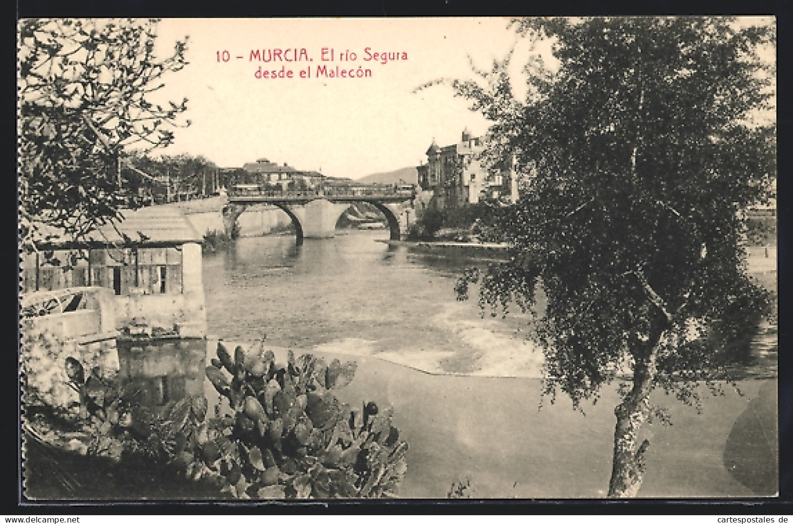 Postal Murcia, El Rio Segura Desde El Malecón  - Murcia