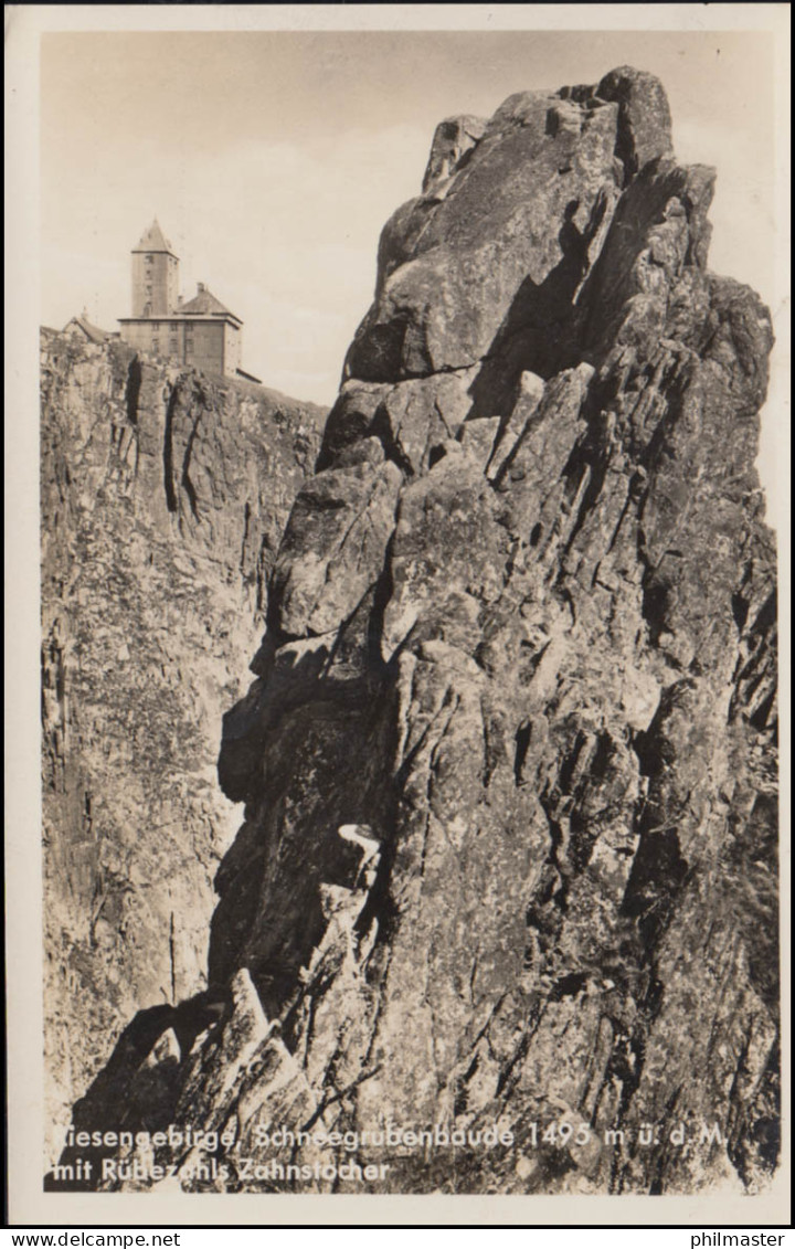 BS Wehrmeldeamt Hohenelbe, AK Schneegrubenbaude, SSt HOHENELBE 17.9.43 - Autres & Non Classés