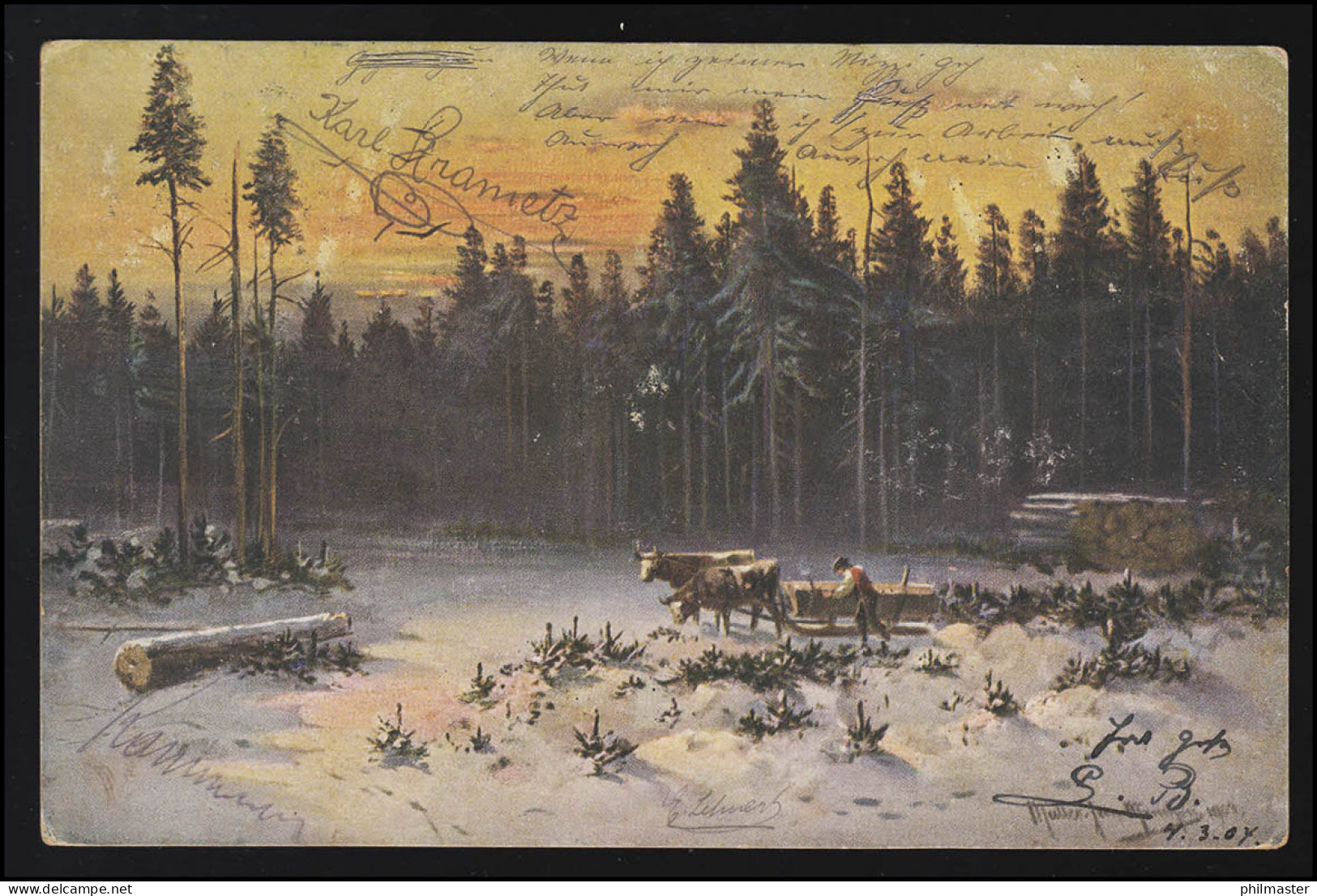 Tiere-AK Holztranport Durch Rinder Im Winter, WIEN 1.6.1904 N. LAUCHHEIM 2.6.04 - Autres & Non Classés