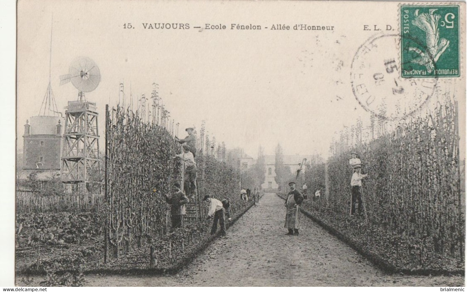 VAUJOURS Ecole Fénelon   Allée D'Honneur - Autres & Non Classés