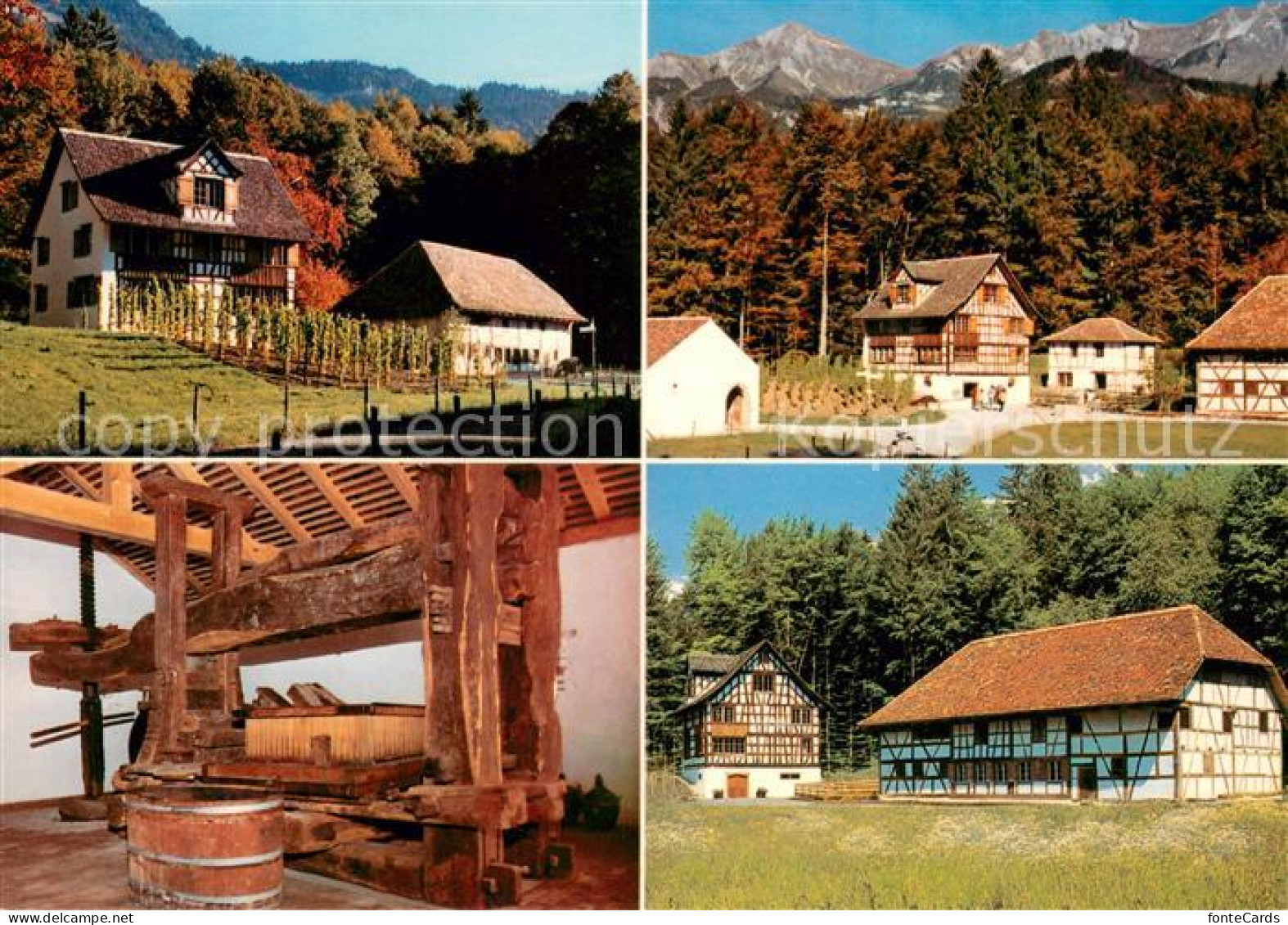 13655998 Brienz BE Schweizerisches Freilichtmuseum Ballenberg Rebbauernhaus Wein - Sonstige & Ohne Zuordnung