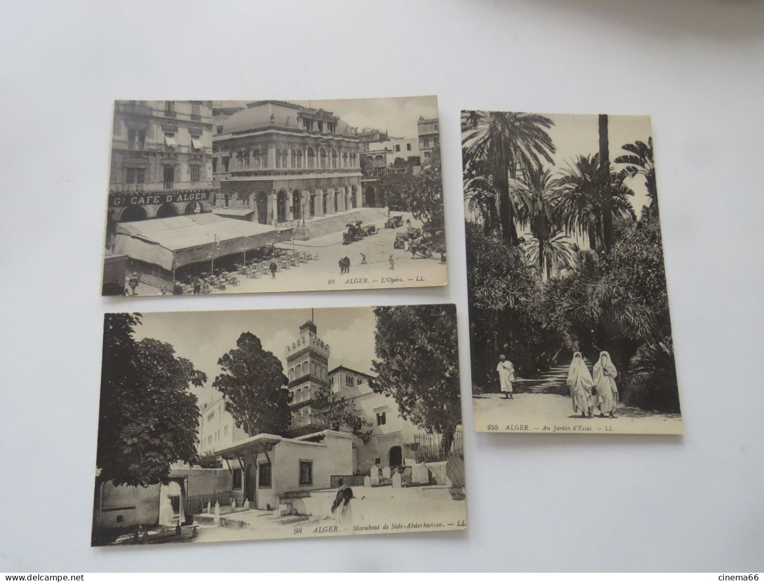 ALGER  Lot Des 3 Cartes - Algeri