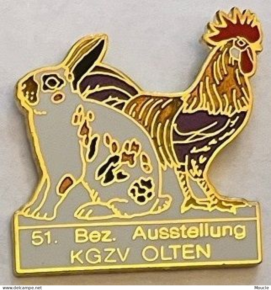 POULE - COQ - LAPIN - 51. BEZ AUSSTELLUNG - KGZV - OLTEN - SUISSE - SCHWEIZ - EGF - N°593 - HASE - RABBIT - HUHN - (34) - Animali