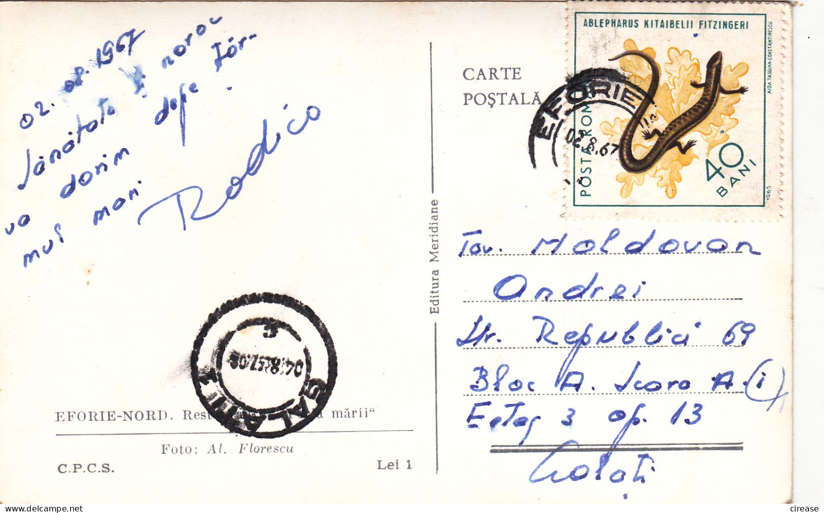 STAMPS REPTILES, LIZARDS, EFORIE NORD ROMANIA POSTCARD - Roumanie