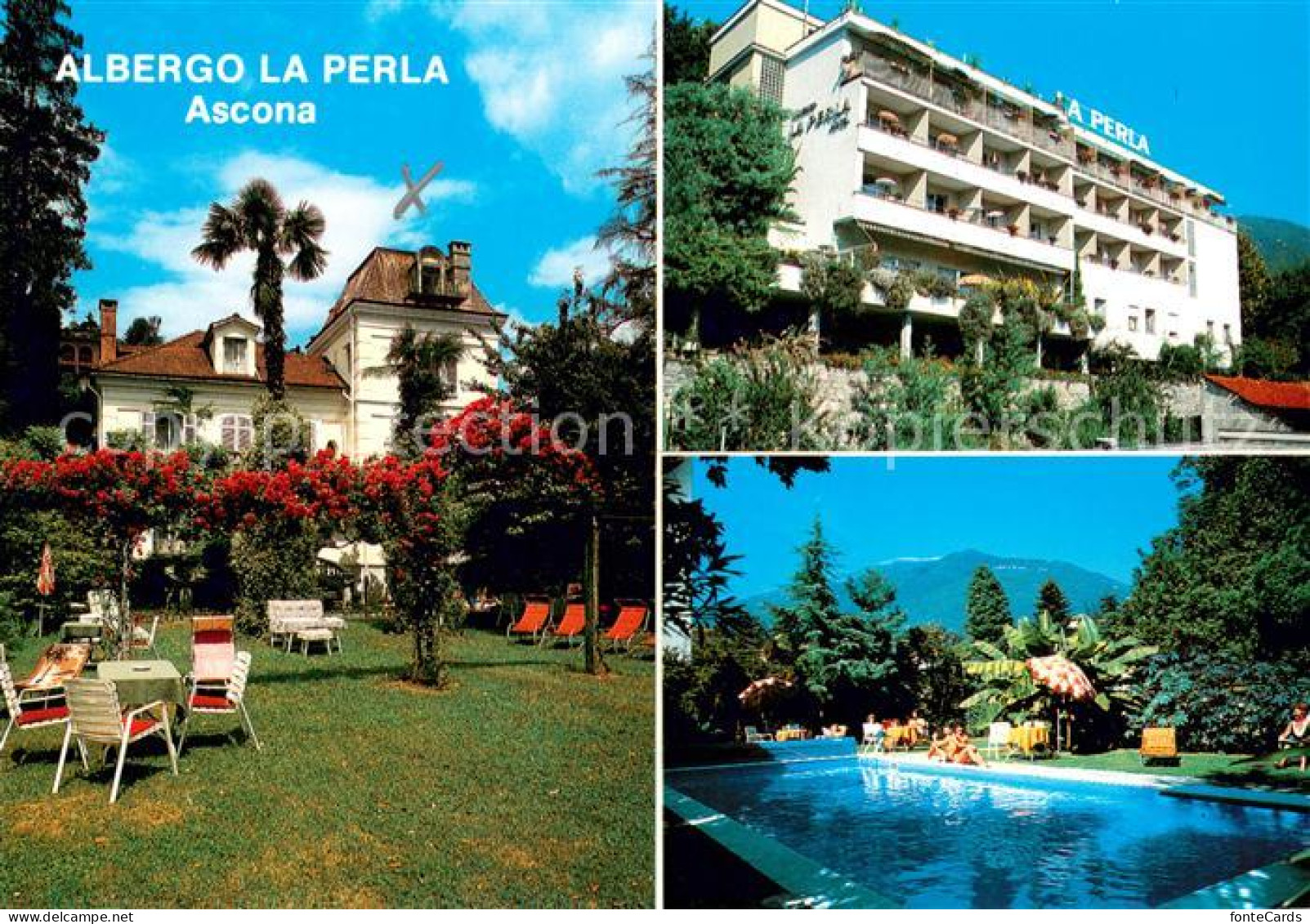 13650032 Ascona Lago Maggiore Albergo La Perla Liegewiese Pool Ascona Lago Maggi - Sonstige & Ohne Zuordnung