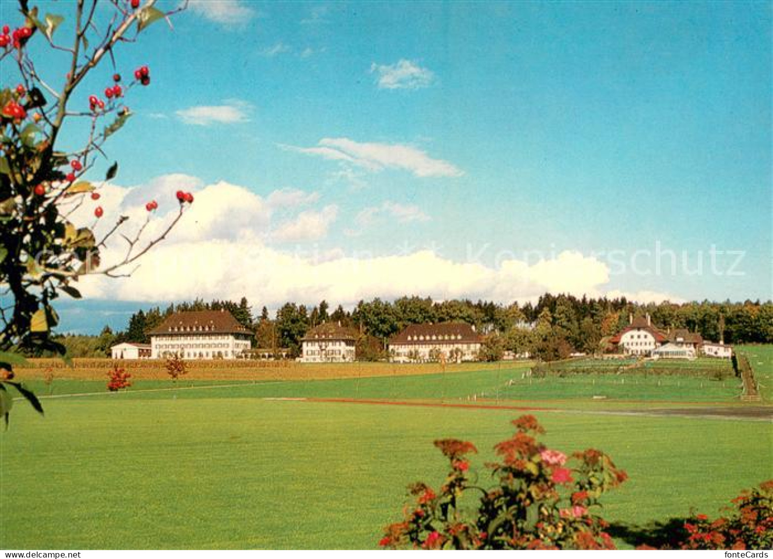 13685631 Langenthal BE Land- Und Hauswirtschaftliche Schule Waldhof Langenthal B - Sonstige & Ohne Zuordnung