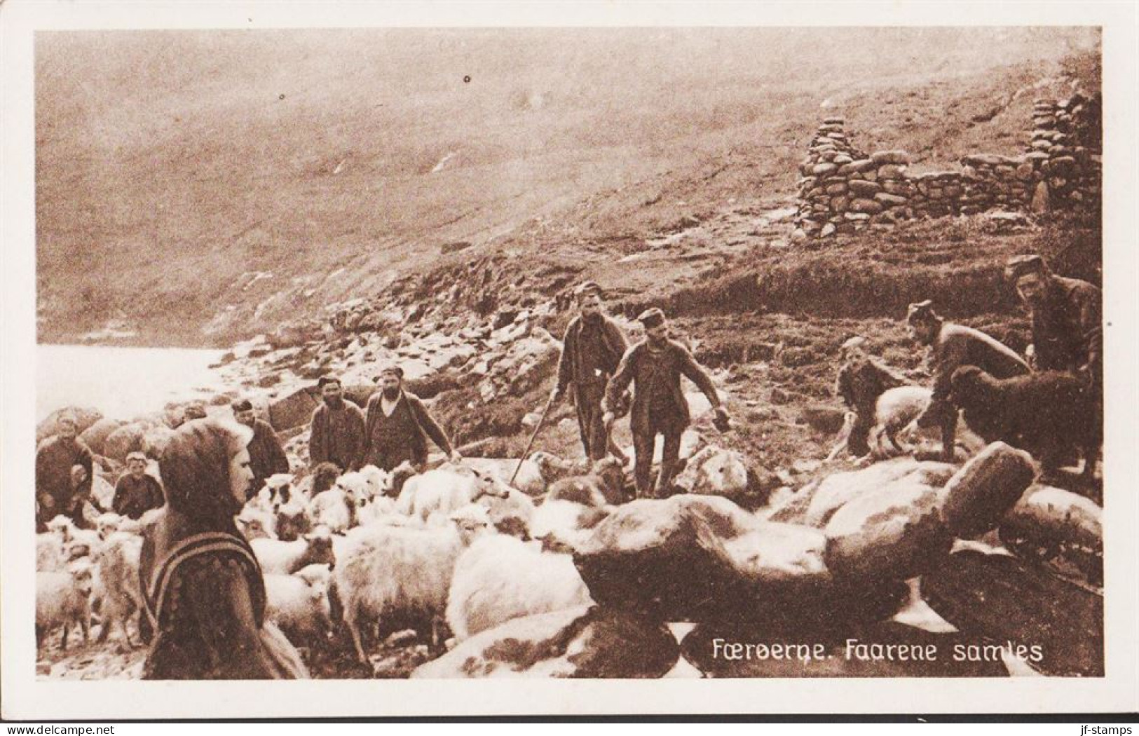 1930. FÆRØERNE. Fine Postcard: Færøerne. Faarene Samles. Reverse: Sælges Til Fordel For Fonden Til Hjælp F... - JF545564 - Faroe Islands