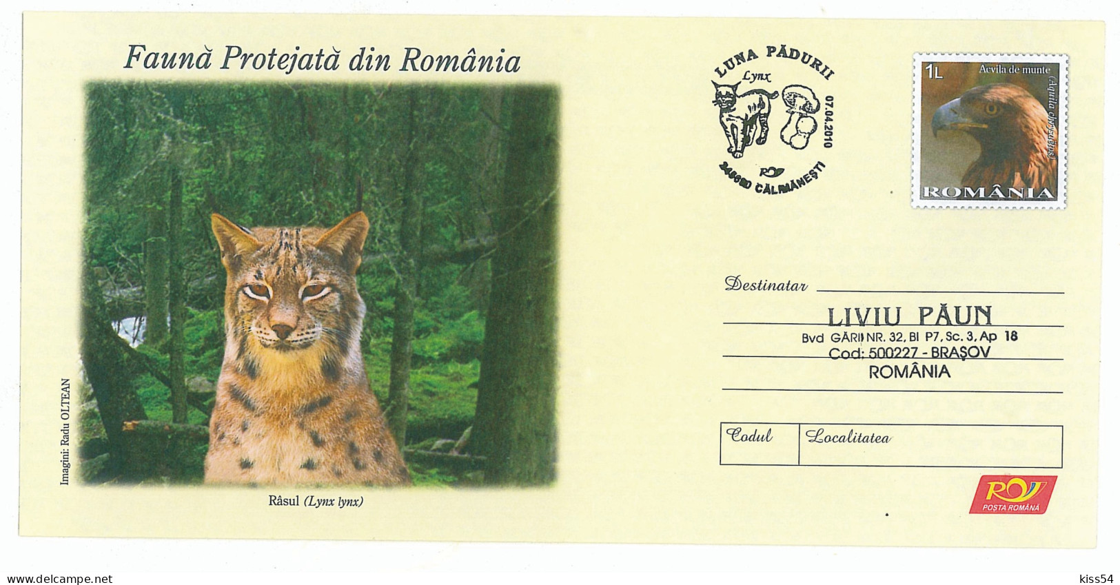 IP 2009 - 040c LYNX, Romania - Stationery  ( Eagle In Fixed Stamp ) - Special Cancellation - Used - 2009 - Postal Stationery