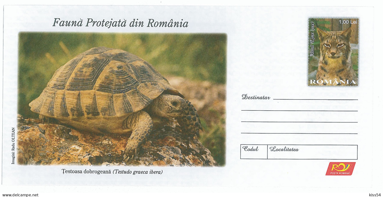 IP 2009 - 32 TURTLE And LYNX - Stationery - Unused - 2009 - Postal Stationery