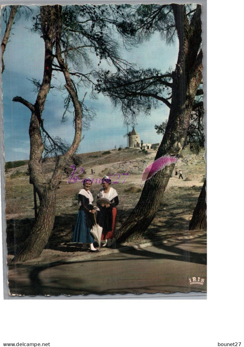 REFLET DE PROVENCE ET FOLKLORE - Le Moulin De Daudet Femme Costume Et Coiffe Ombrelle Blanche à Travers Les Pins - Provence-Alpes-Côte D'Azur