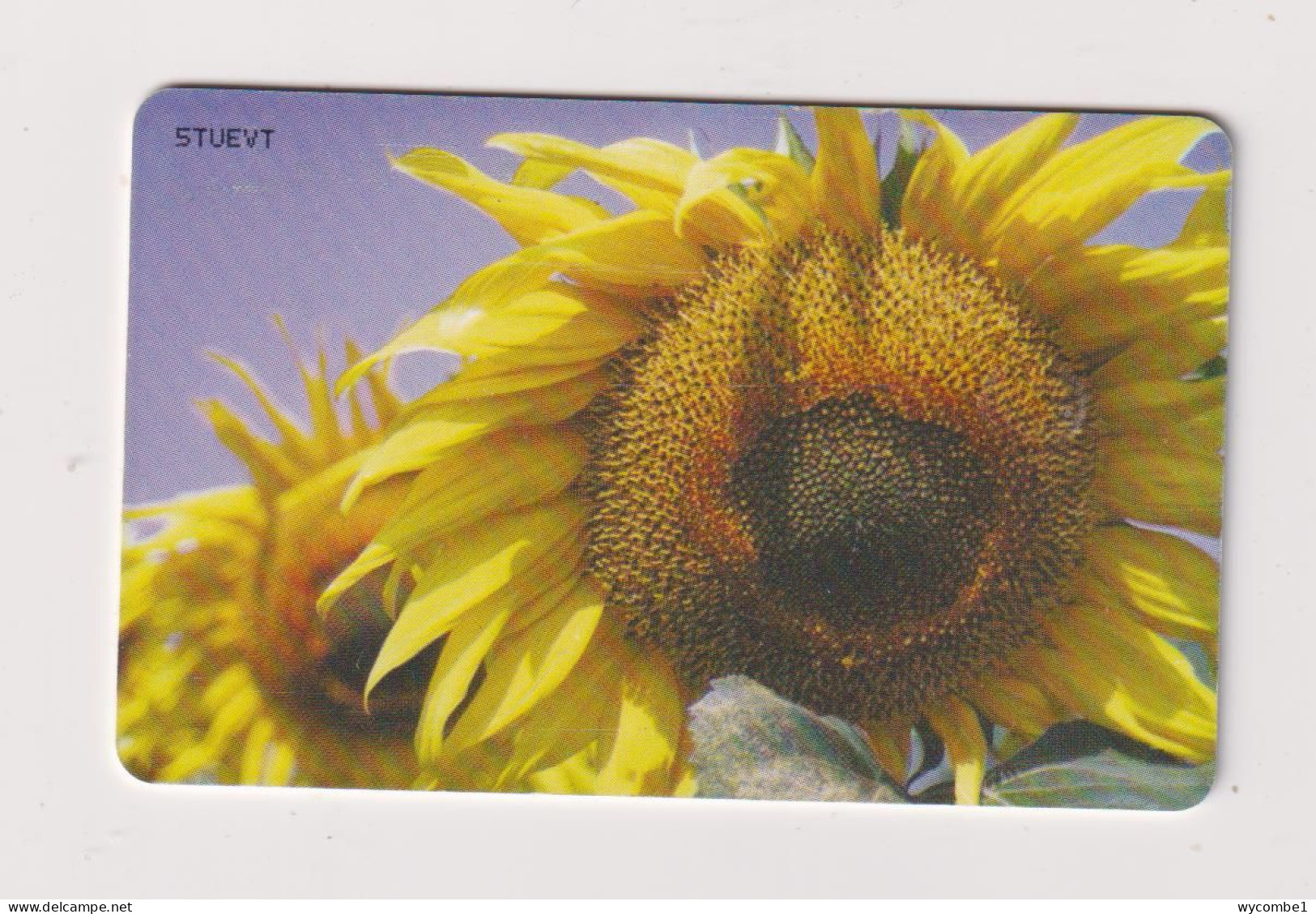 ROMANIA -  Sunflowers Chip  Phonecard - Rumania