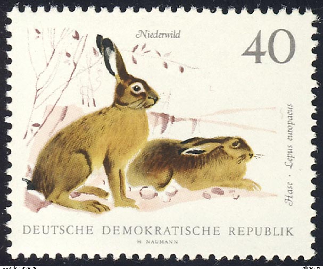 1362 Niederwild Feldhasen 40 Pf ** - Unused Stamps