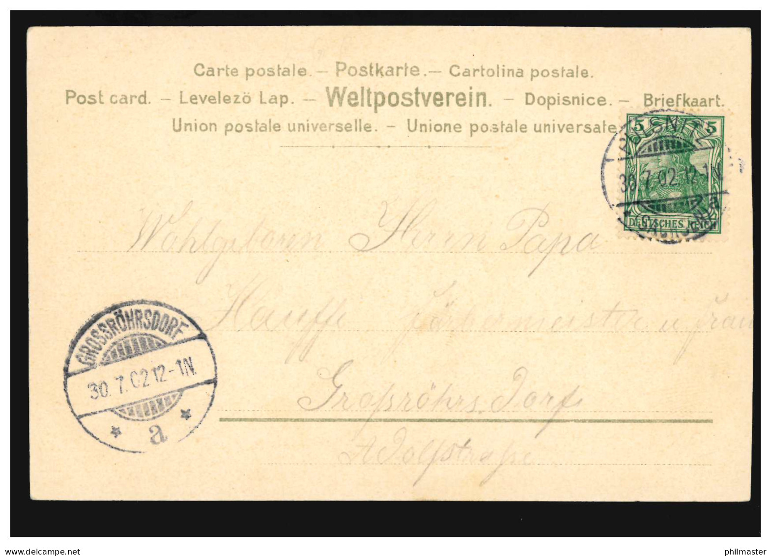 Blumen-AK Landschaft Früchte-Zweig, PULSNITZ 30.7.1902 Nach GROSSRÖHRSDORF 30.7. - Sonstige & Ohne Zuordnung