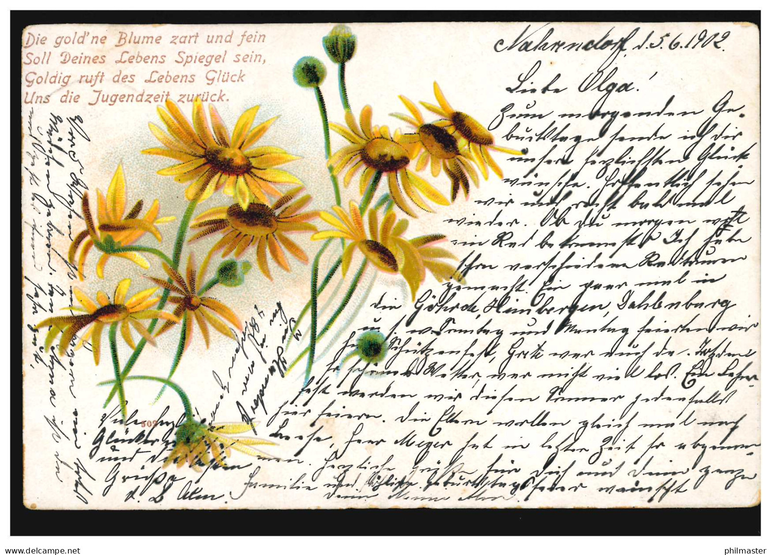 Blumen-AK Margeriten, NAHRENDORF(HANNOVER) 5.6.1902 Nach CELLE 6.6.02 - Sonstige & Ohne Zuordnung