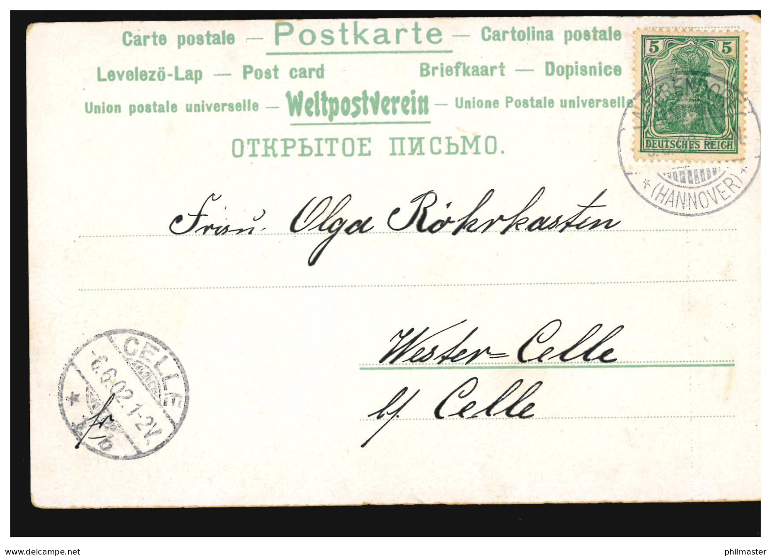 Blumen-AK Margeriten, NAHRENDORF(HANNOVER) 5.6.1902 Nach CELLE 6.6.02 - Andere & Zonder Classificatie