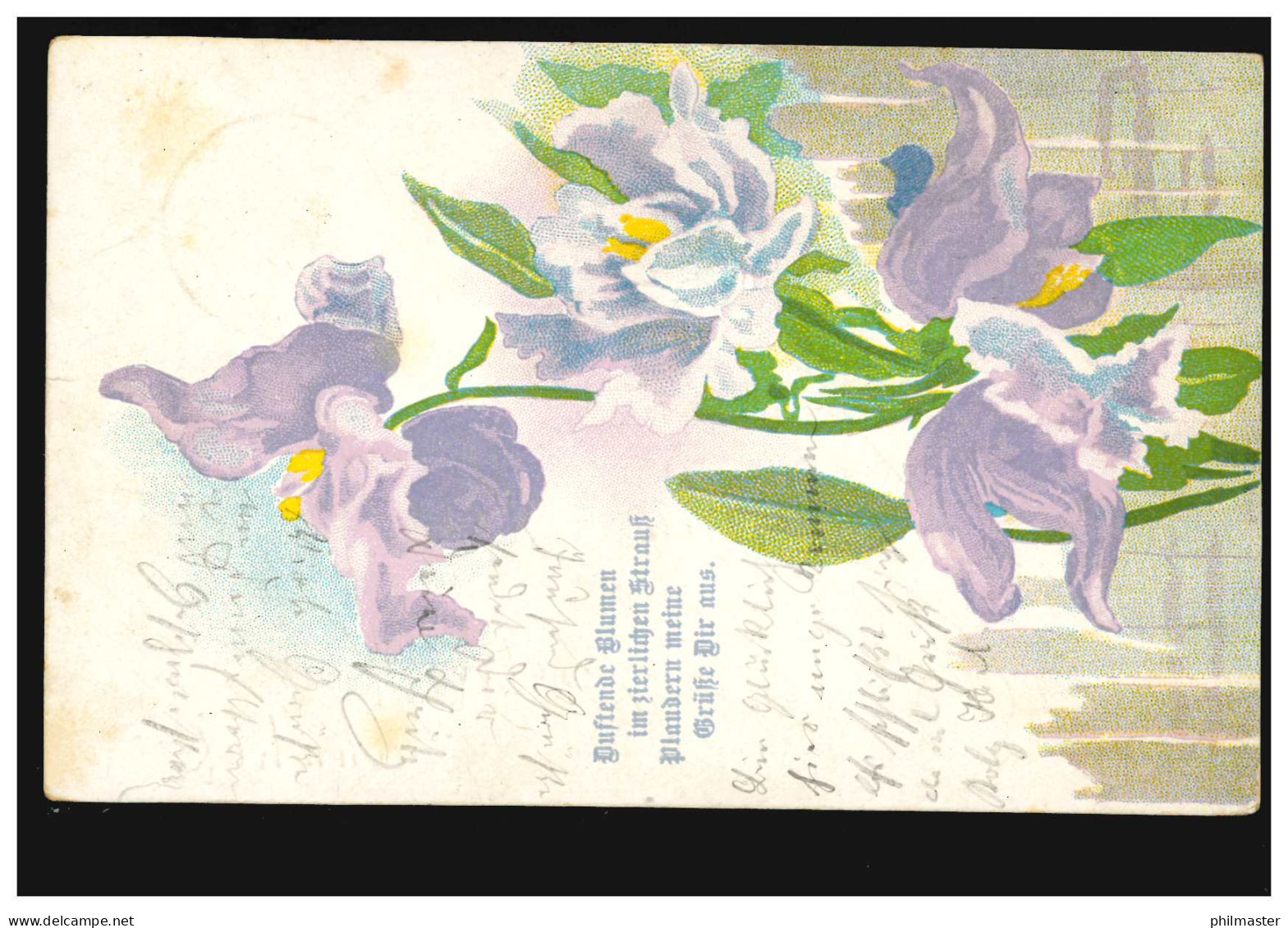 Blumen-AK Orchideen-Zweig, BETZDORF 5.12.1905 Auf Orts-Postkarte - Autres & Non Classés