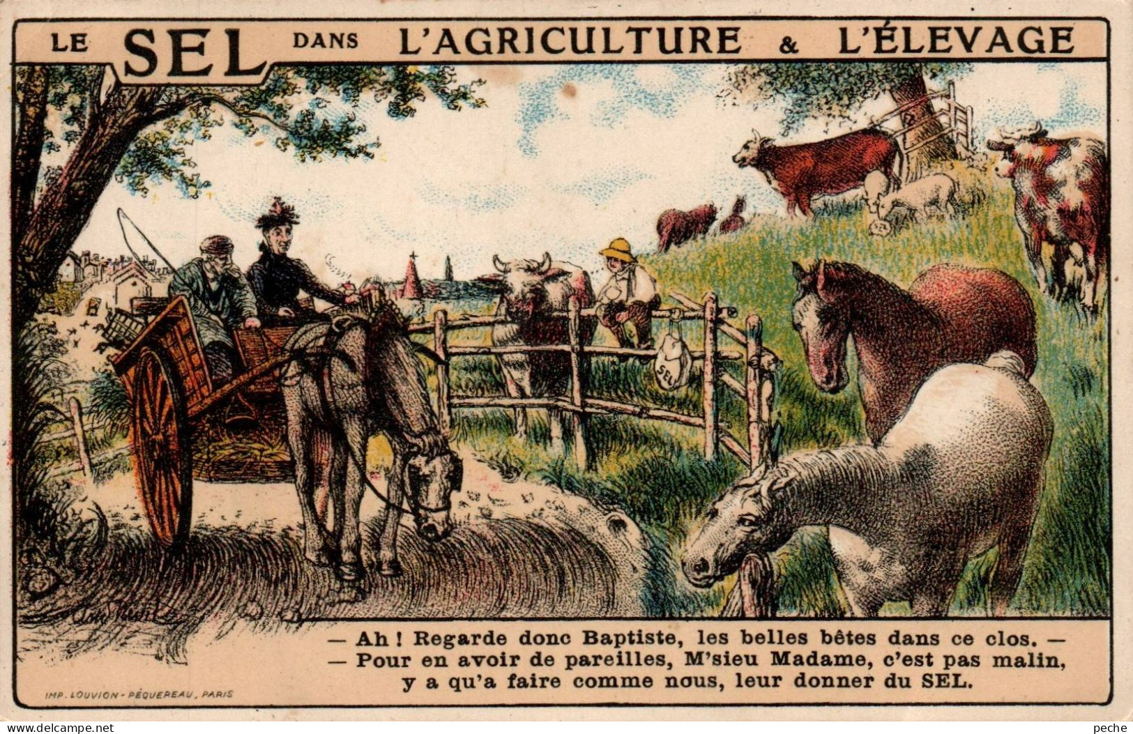 N°1030 W -cpa Le Sel Dans L'agriculture à L'élevage- - Elevage