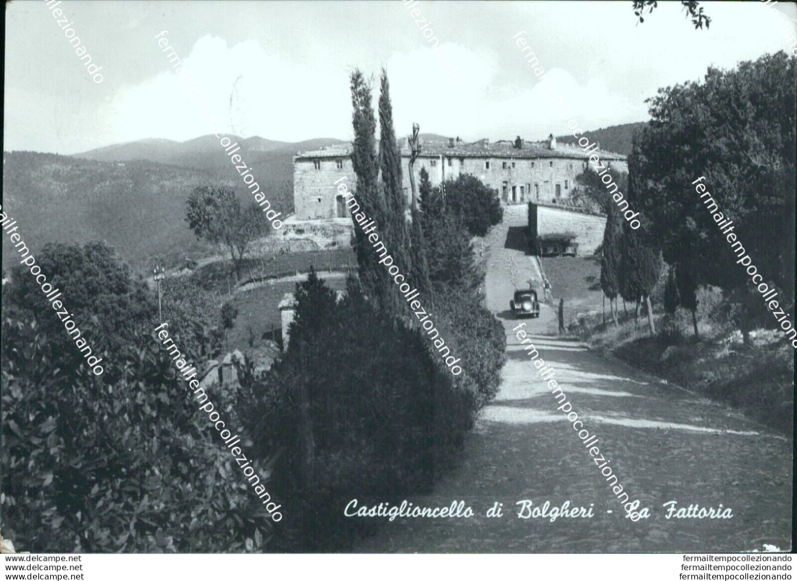 Bi553 Cartolina Castiglioncello Di Bolgheri La Fattoria Provincia Di Livorno - Livorno