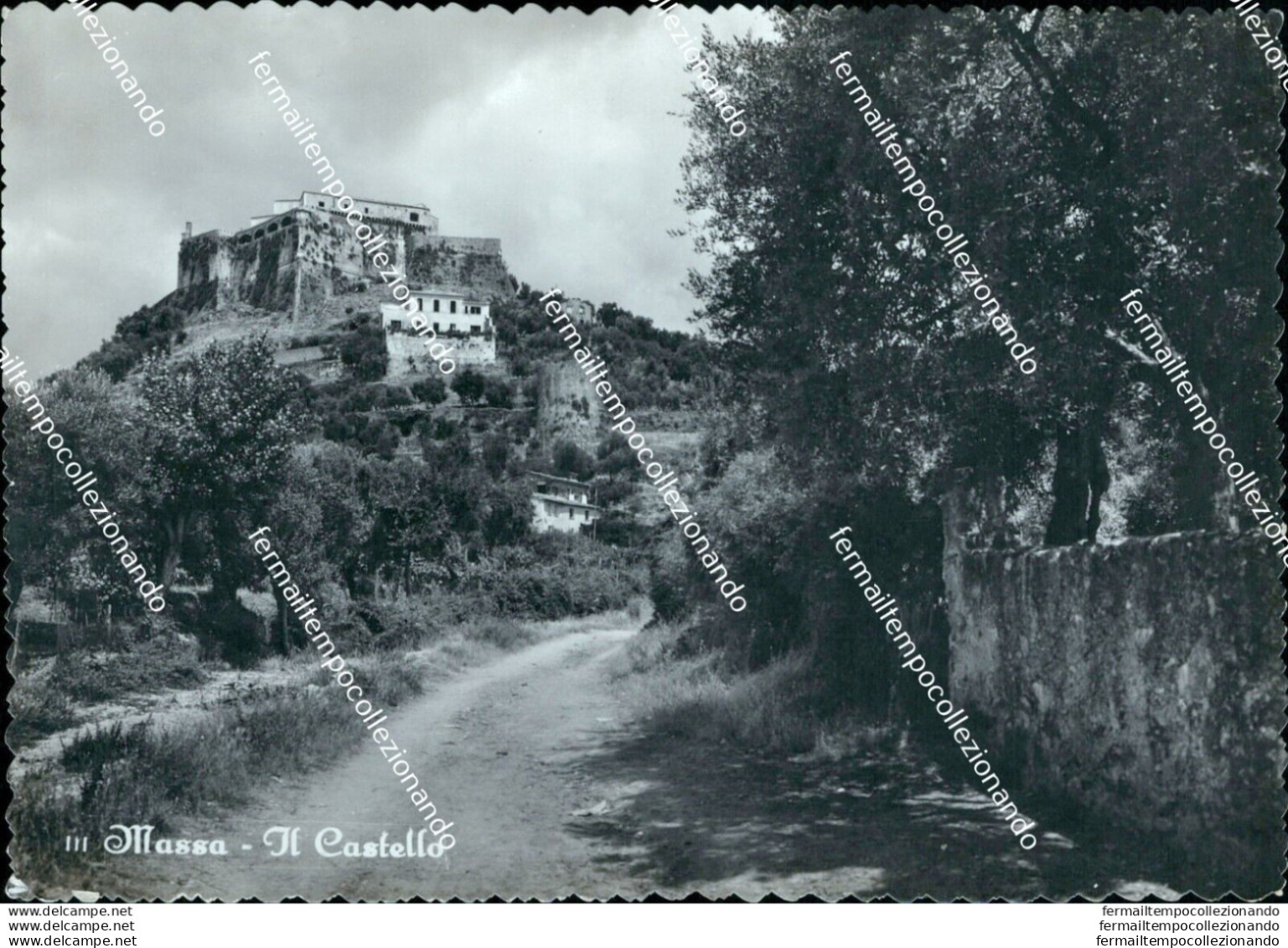 Bn686 Cartolina Massa Il Castello - Massa