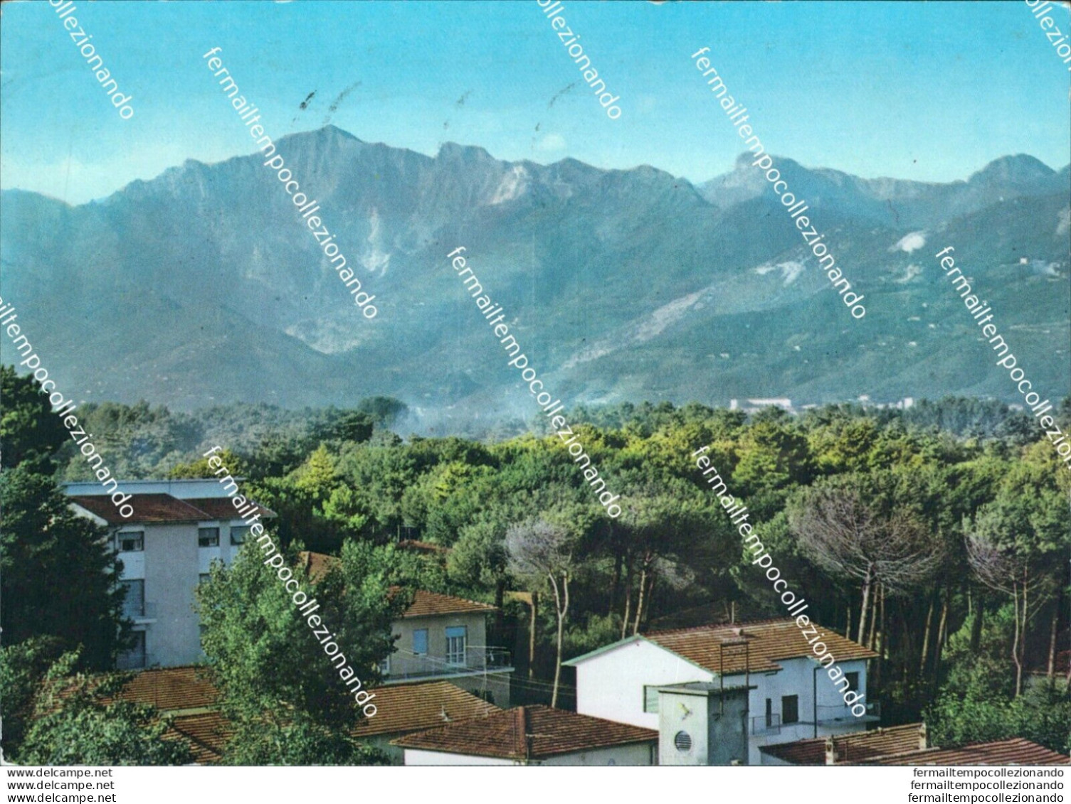 Bi555 Cartolina Marina Di Pietrasanta Pineta E Alpi Apuane Provincia Di Lucca - Lucca