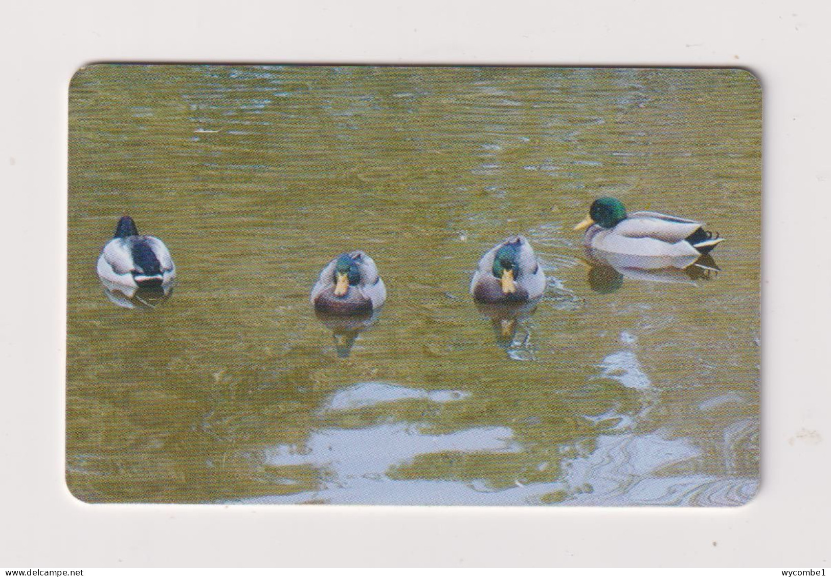 ROMANIA -  Water Birds Chip  Phonecard - Rumania