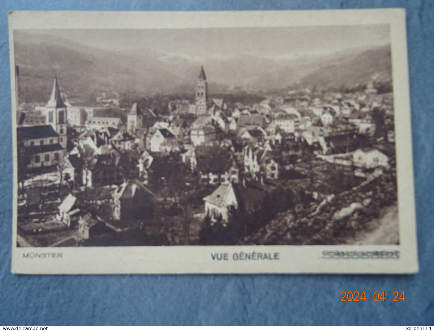 VUE GENERALE - Munster