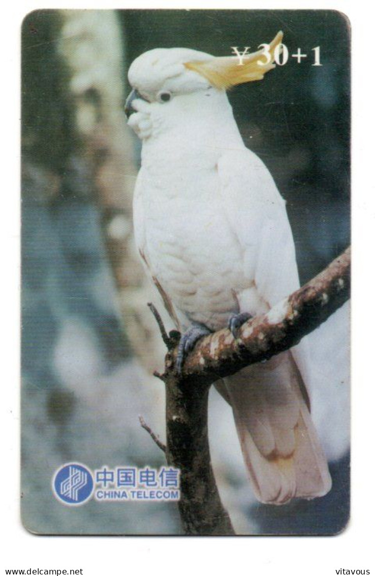 Télécarte Chine Bird Oiseau Vogel Perroquet Parrot (K 259) - China