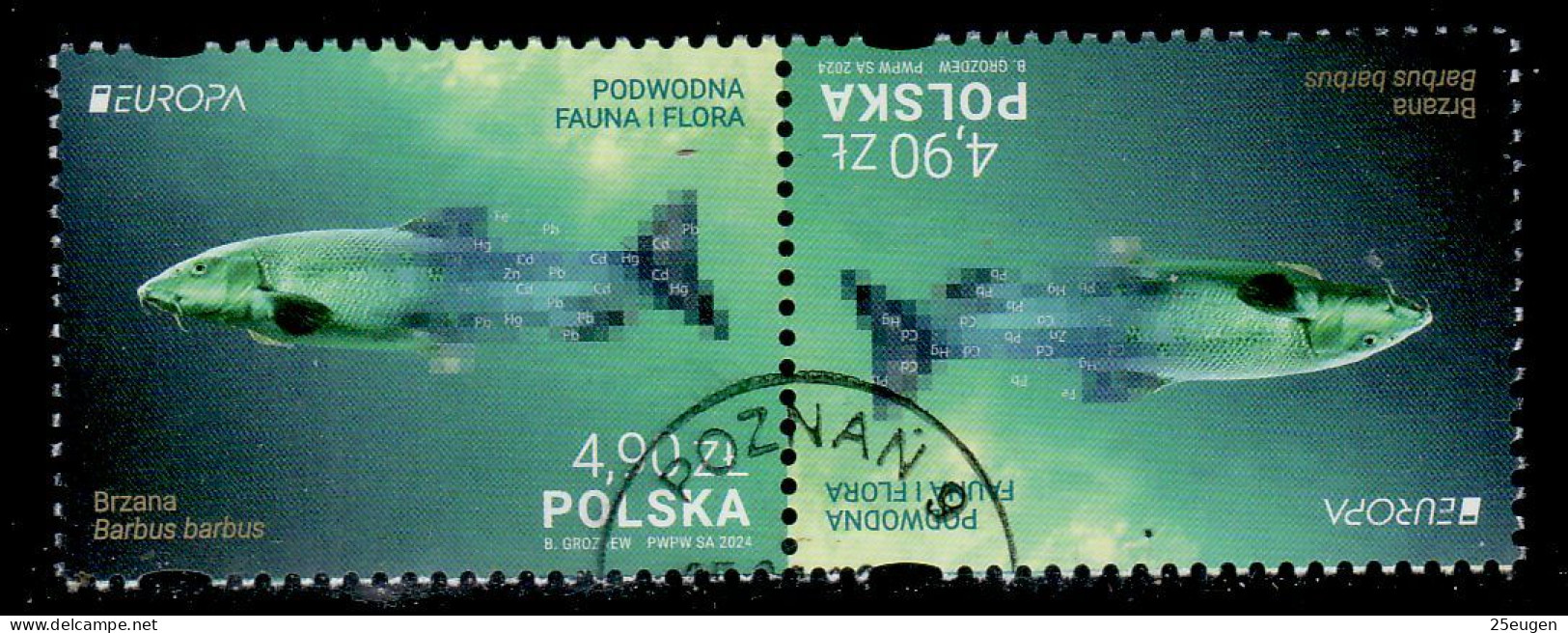 POLAND 2024 EUROPA CEPT TETE BECHE USED - Used Stamps
