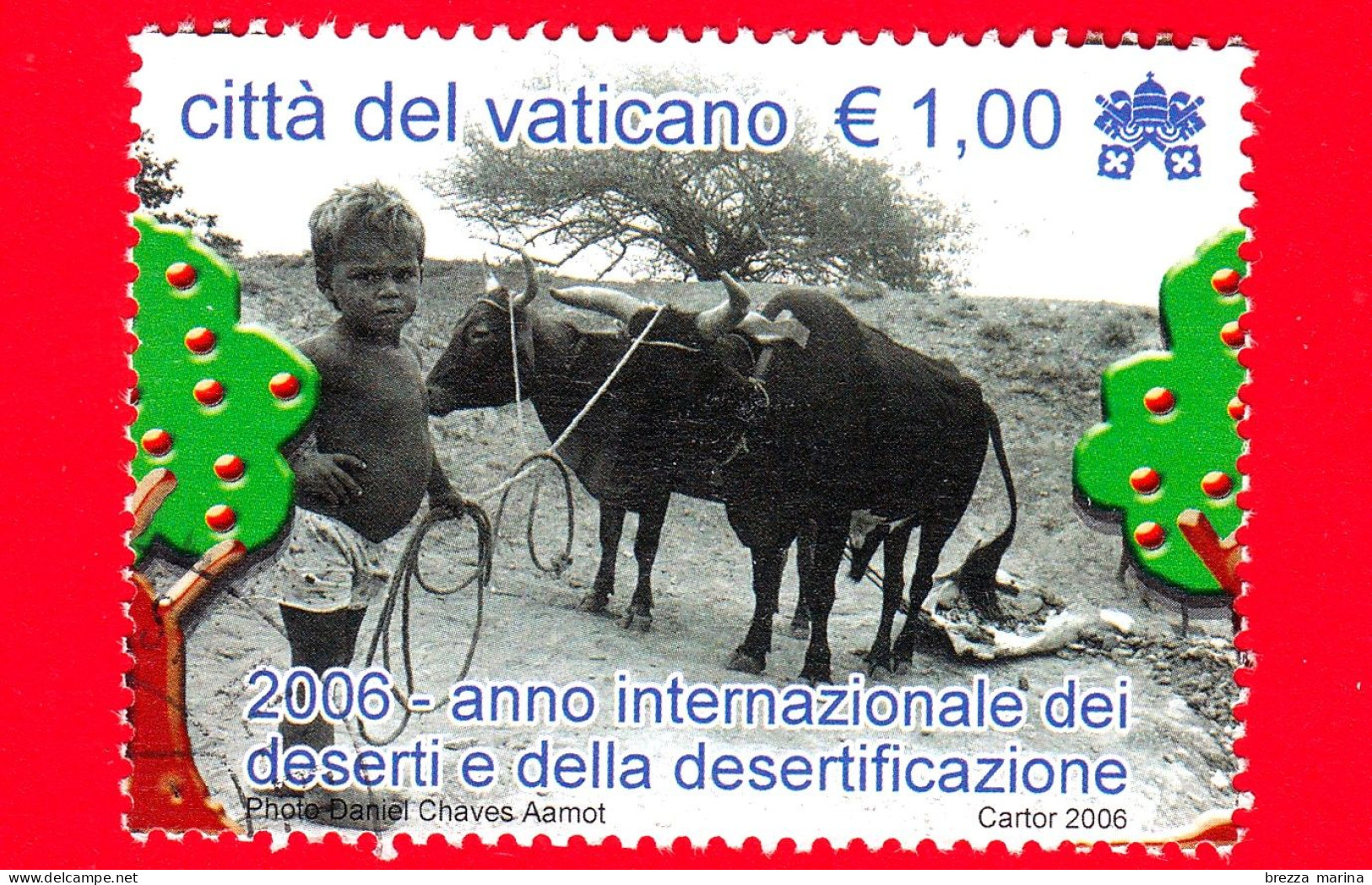 VATICANO - Usato - 2006 -  Anno Internazionale Dei Deserti E Della Desertificazione - Bambino E Mandria - 1.00 - Usati