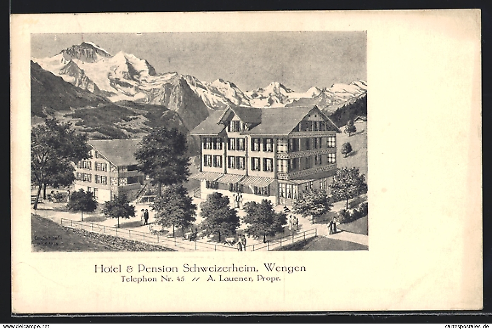 AK Wengen, Hotel & Pension Schweizerheim Von A. Lauener  - Wengen