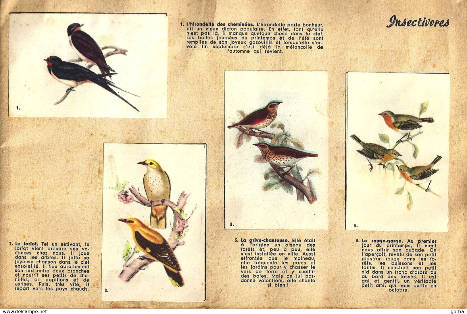 * ALBUM COLLECTEUR VACHE GROSJEAN - OISEAUX DE NOS PAYS - Complet 84 Images - Albums & Catalogues