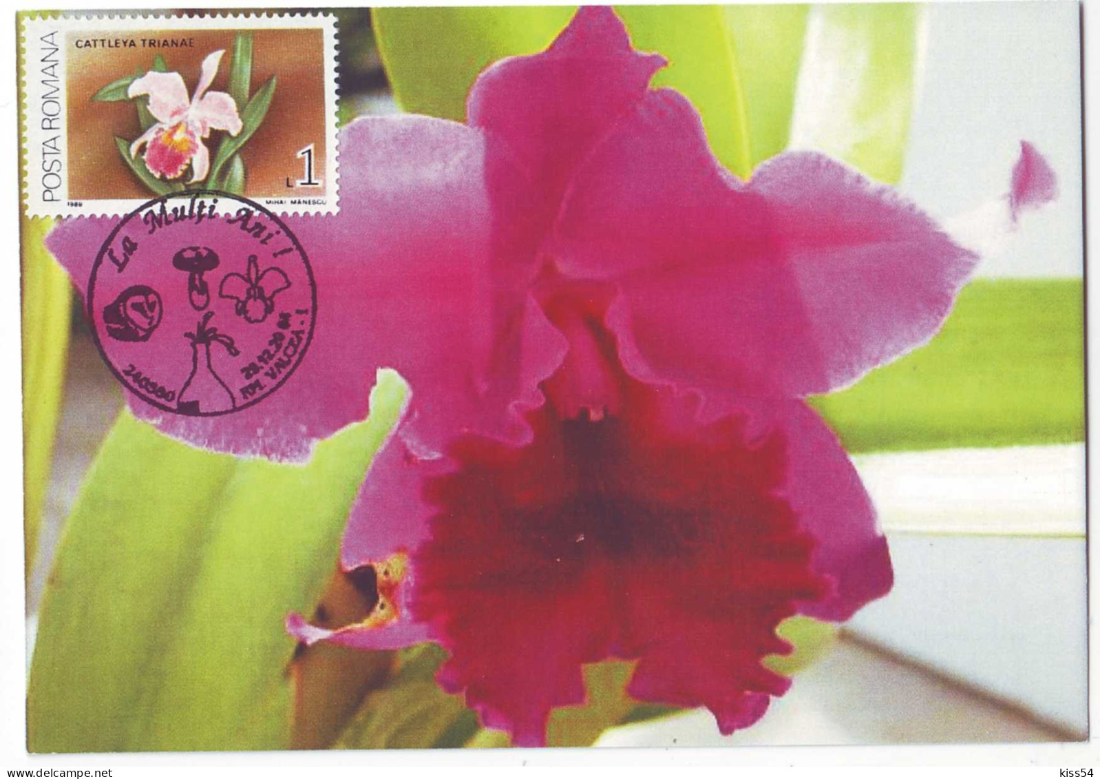 MAX 58 - 44 ORCHID, Romania - Maximum Card - 2007 - Maximumkarten (MC)