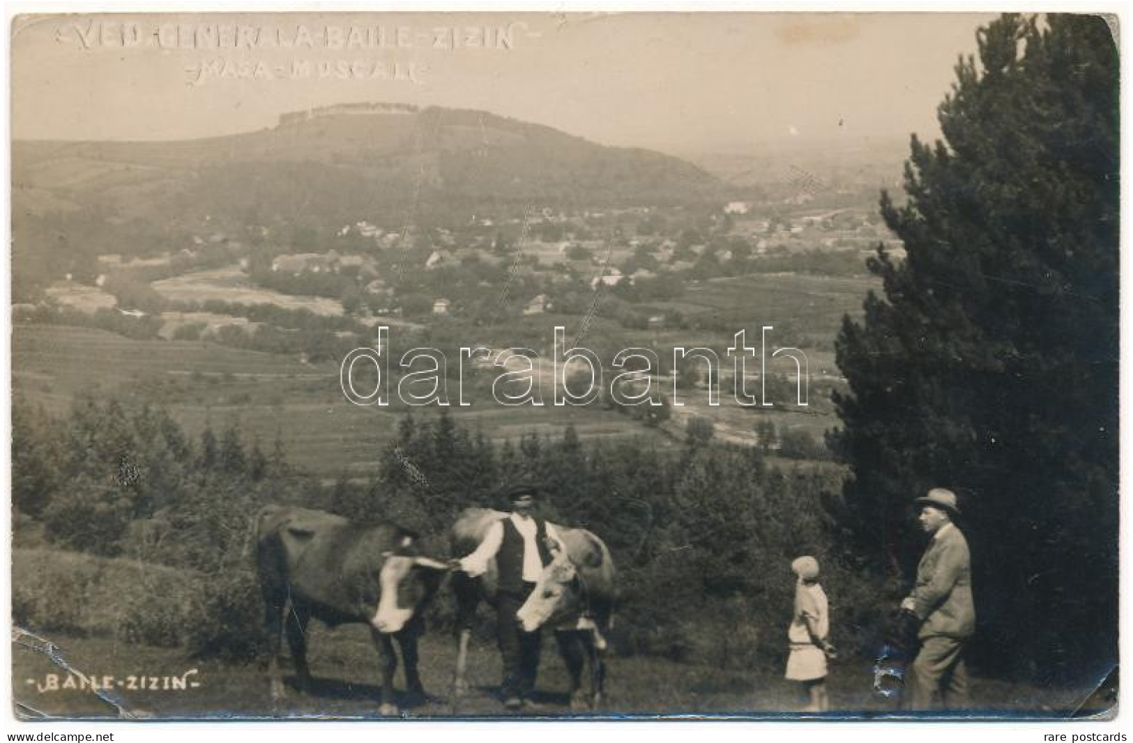 Zizin Baile - Romania