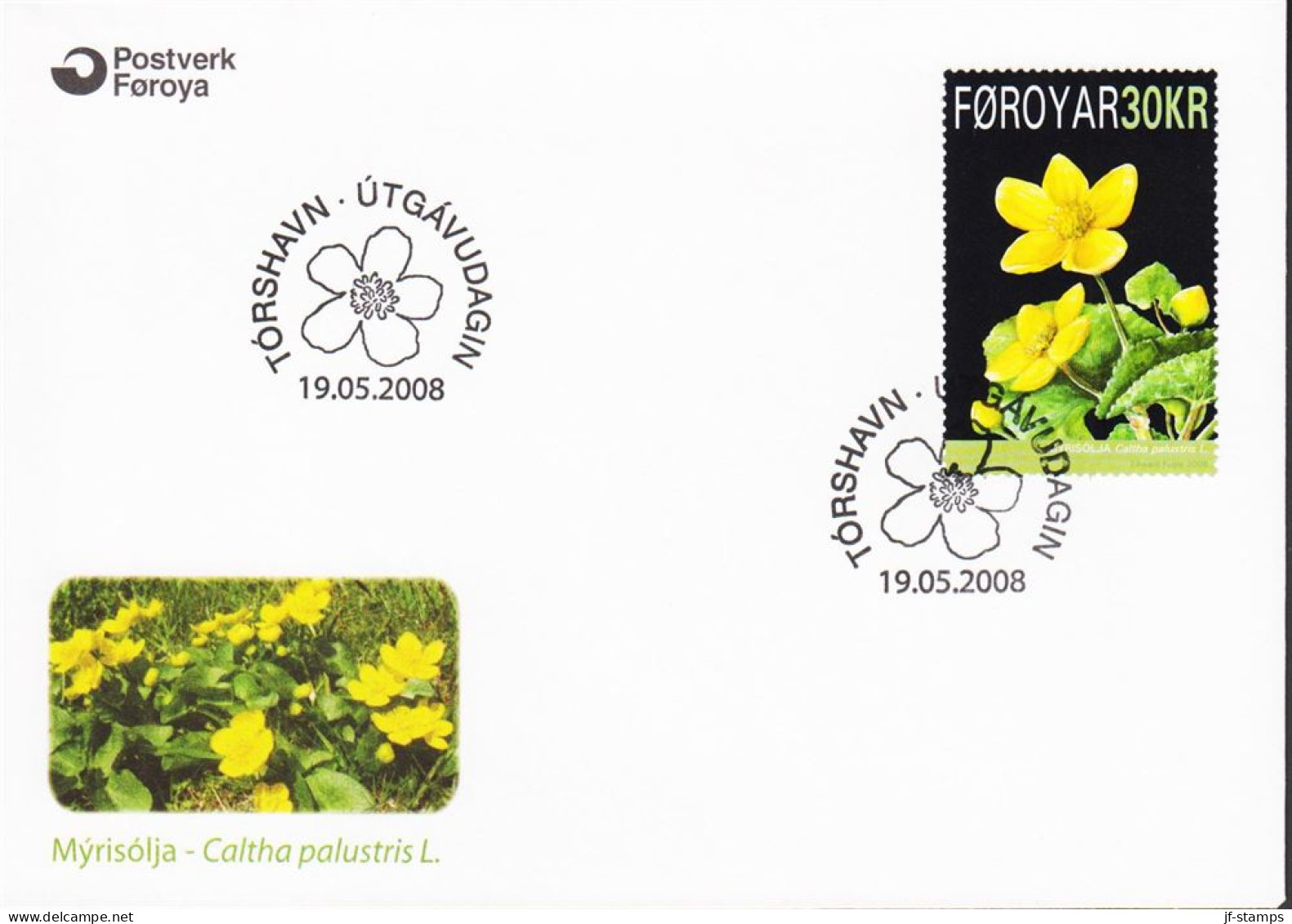 2008. FØROYAR National Flower (Caltha Palustris) On FDC. (MICHEL 646) - JF544725 - Féroé (Iles)