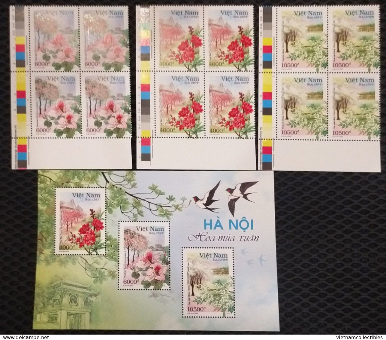 Blocks 4 Of Viet Nam Vietnam MNH Perf Stamps & A Perf Sheetlet 26, 2024: 12 Flower Seasons In Hanoi (series 1) (Ms1188)) - Viêt-Nam