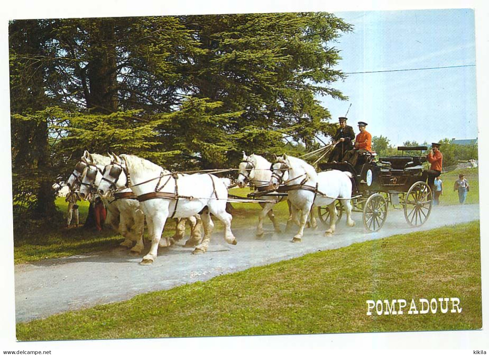 CPSM  / CPM 10.5 X 15  Corrèze ARNAC - POMPADOUR Cité Du Cheval Grand Break Attelage à 5 Percherons - Arnac Pompadour